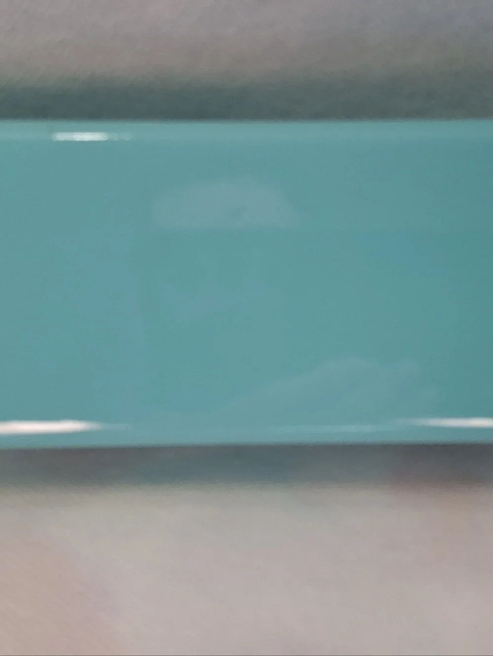 Tiffany & Co. Robin's Egg Blue Eyewear Case